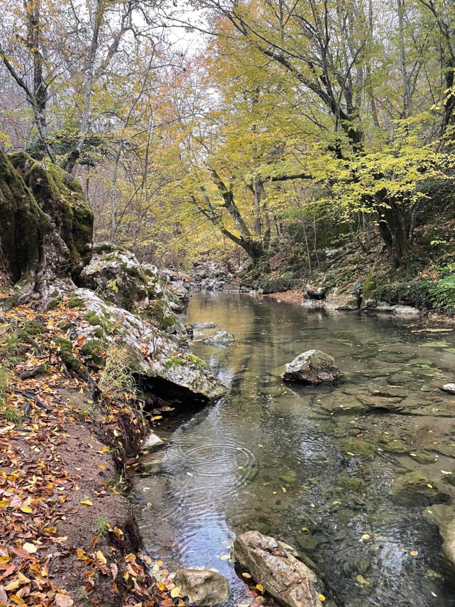 Hastiere-par-dela Mooie Bungalow In De Prachtige Natuur מראה חיצוני תמונה